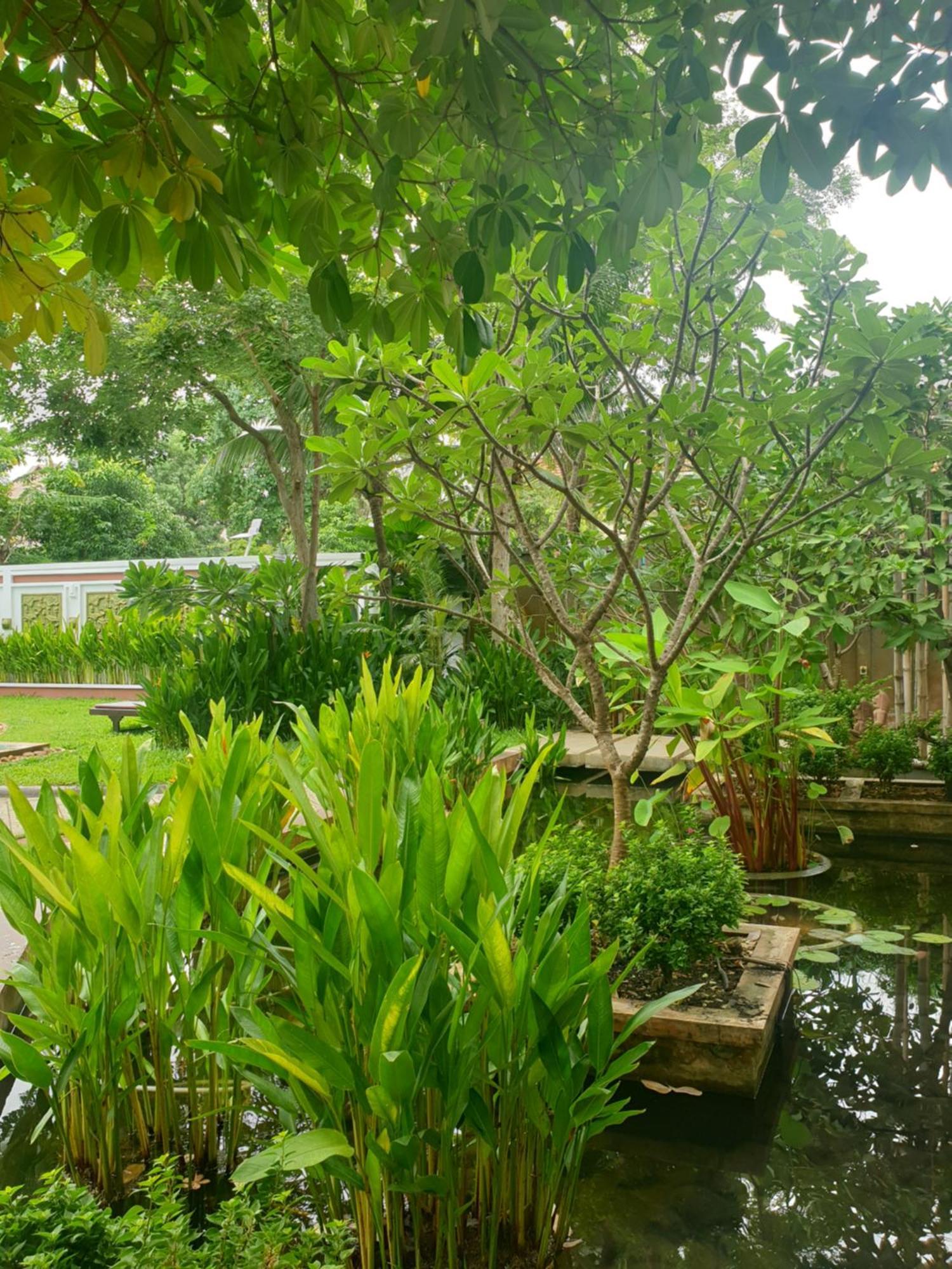 Bamboo Retreat Villa Siem Reap Esterno foto